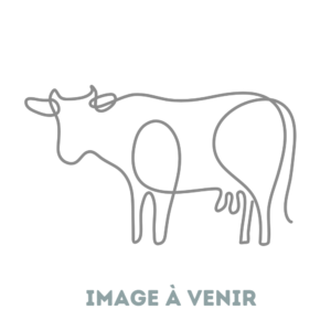 dessin vache