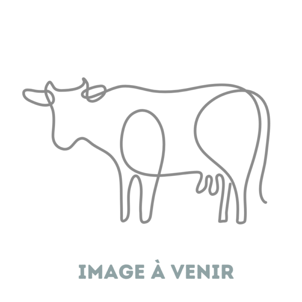 dessin vache