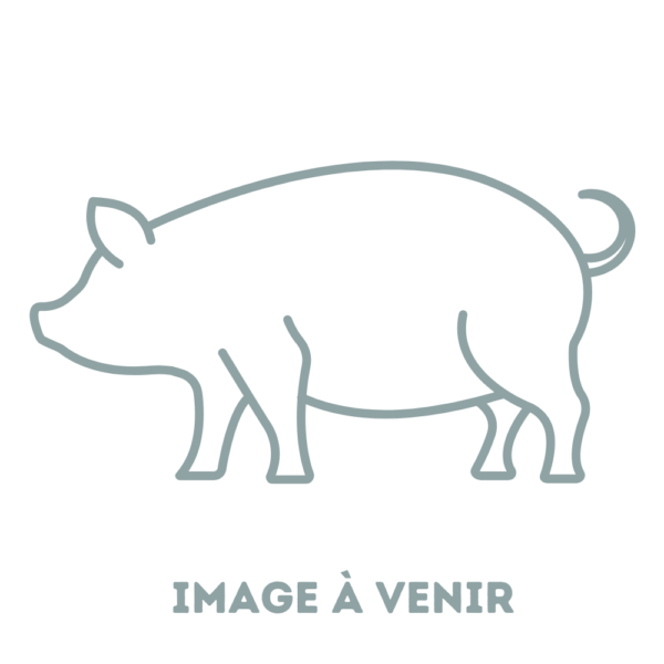 Dessin d'un cochon