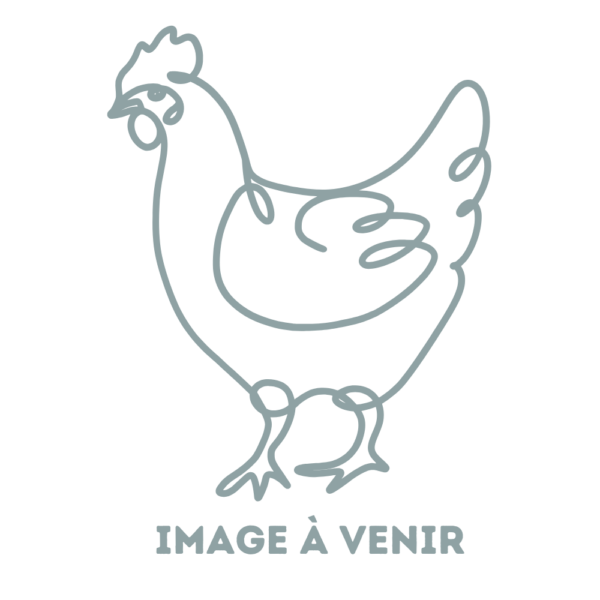 Dessin d'une poule